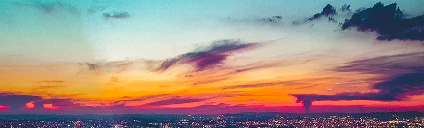 府谷茶虫网_府谷品茶